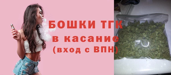 apvp Каменка