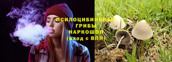 каннабис Струнино